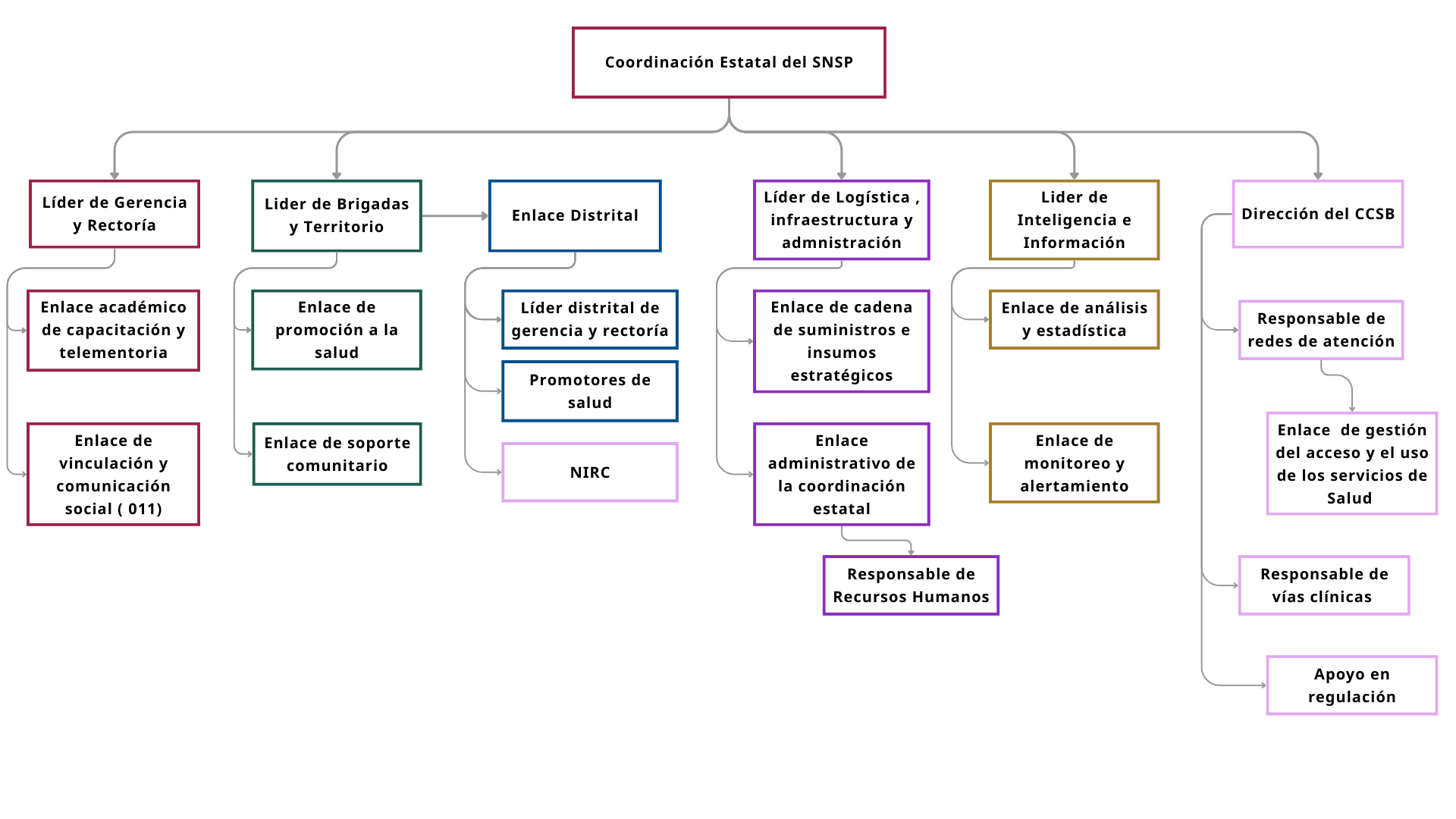 Organigrama SNSP BCS